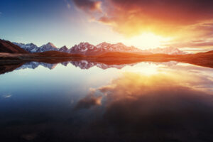 2025 Fortuna Advisors Buyback ROI Report